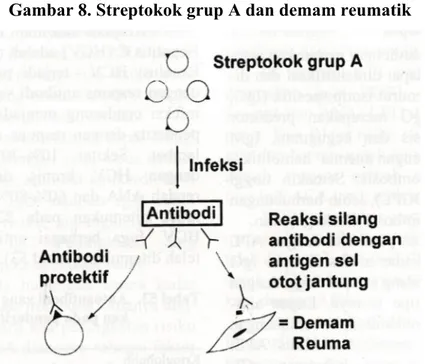 Gambar 9. Kemiripan pada autoimunitas 3