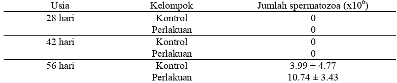 Tabel 3 Rataan jumlah spermatozoa anak tikus usia 28, 42, dan 56 hari 