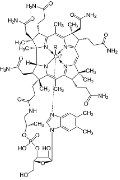 Gambar 1. Struktur Kimia Kobalamin 