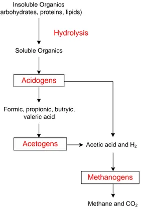 Gambar 1. Proses anaerobik untuk karbohidrat yang tidak terlarut.  
