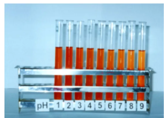 Gambar 3. Degradasi warna dari ekstrak pigmen buah arben akibat perubahan pH  D. Kemungkinan Aplikasi pada Sistem Pangan 