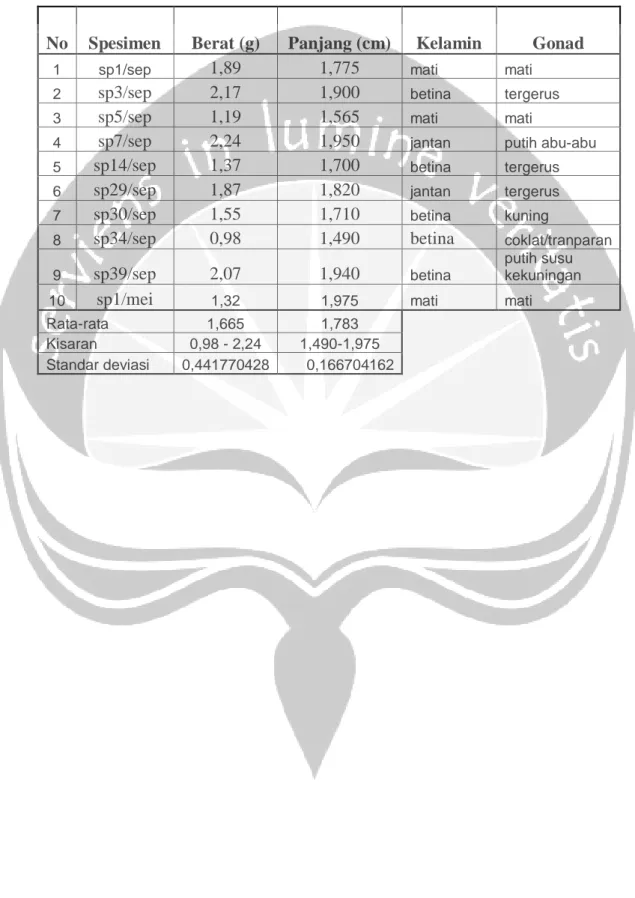 Tabel 3. Pengukuran Berat dan Panjang Cangkang, Pengamatan Jenis Kelamin           dan Gonad Kelompok I (Panjang Cangkang 1-2 cm) 