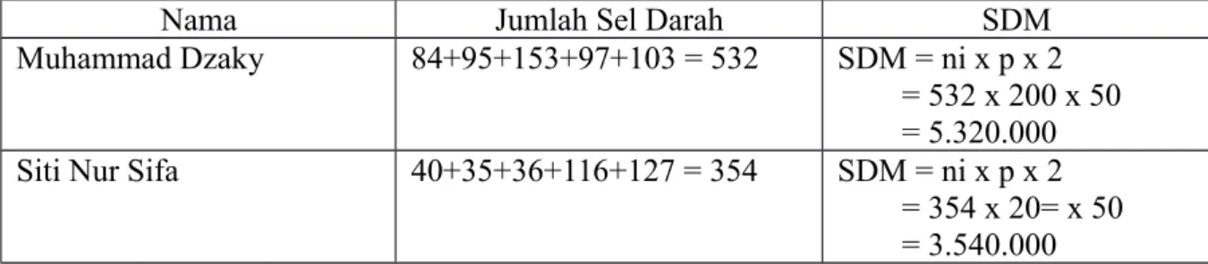 Tabel 3. Perhitungan SDM