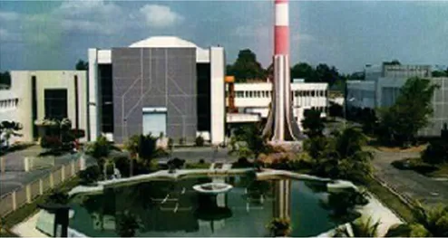 Gambar 2.1. Logo BATAN  2.2.2  Sejarah reaktor Kartini 