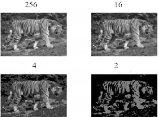 Gambar 3. Grey-Scale dengan beberapa tingkat  thresholding 