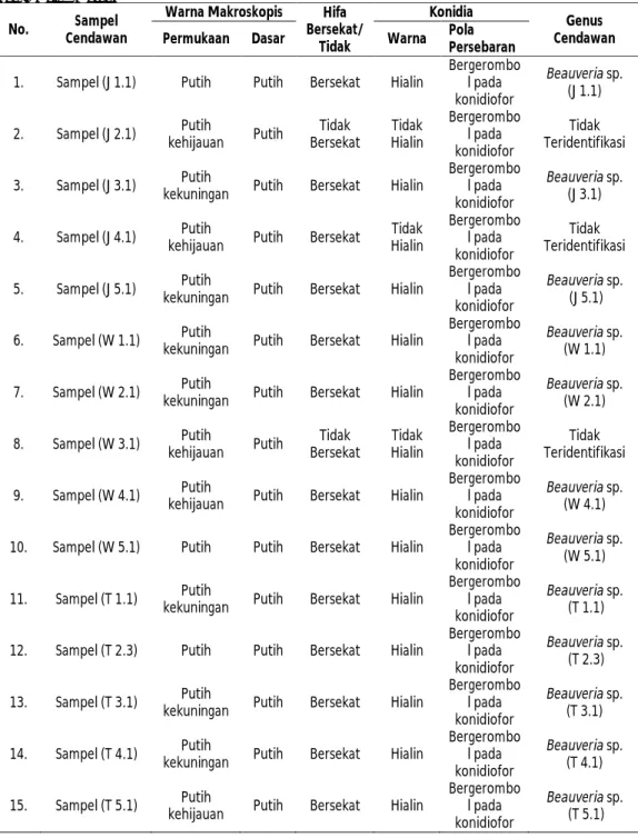Tabel 4. Data Identifikasi Morfologi Makroskopis dan Mikroskopis Cendawan Entomopatogen di Lahan  Organik Batu, Malang