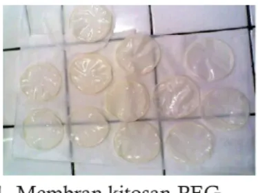 Gambar 1. Membran kitosan-PEG