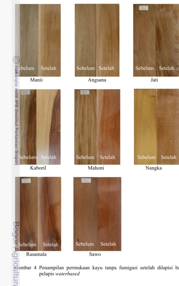 Gambar 4 Penampilan permukaan kayu tanpa fumigasi setelah dilapisi bahan  pelapis waterbased 