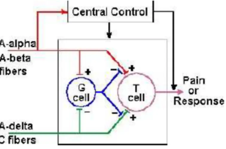 Gambar 2.4 . 6kema teori gate control Te'r Gate Control 
