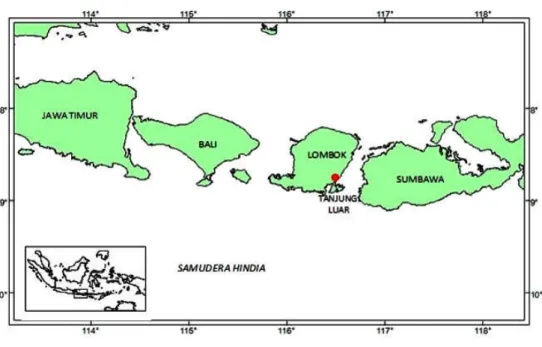 Gambar 1. Lokasi penelitian di Tanjungluar, Nusa Tenggara Barat.
