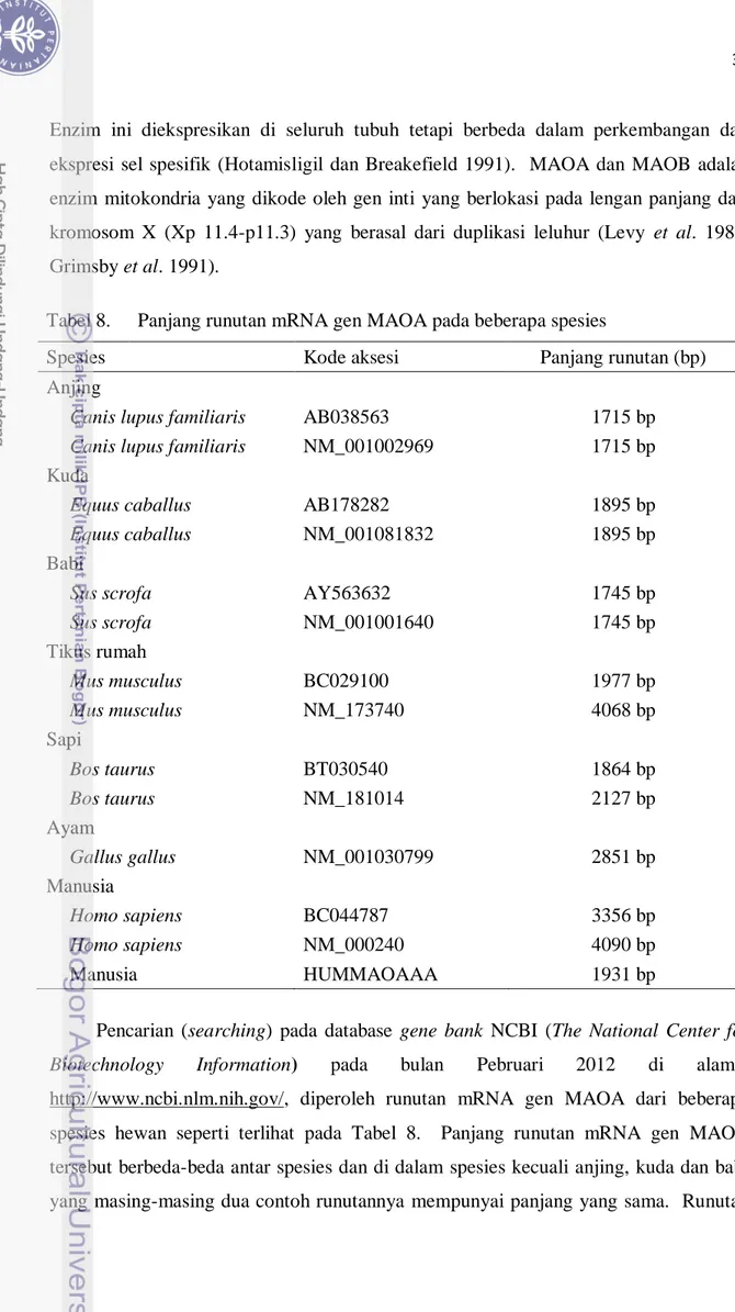 Tabel 8.  Panjang runutan mRNA gen MAOA pada beberapa spesies 
