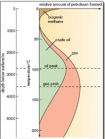 Gambar 6. Diagram tingkat kematangan minyak dan gas