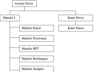 Gambar 1. Struktur Organisasi Tingkat Divisi Kebun Mandah 