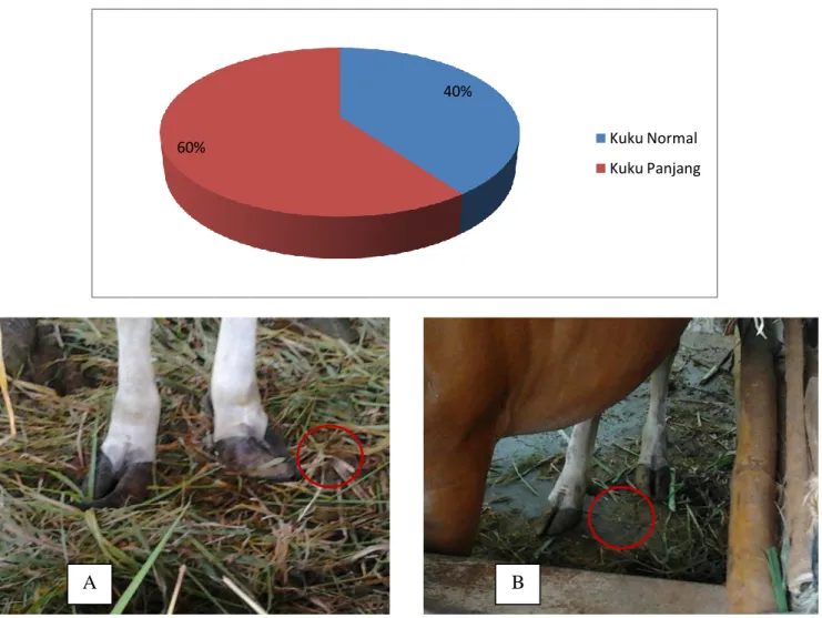 Gambar 1. Diagram lingkaran kelainan kuku sapi bali yang dipelihara pada lahan  keras 