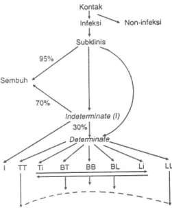 Gambar  1: Patogenesis Lepra. 2 Keterangan: 