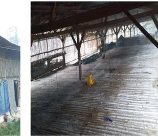 Gambar 4  Kandang pada peternakan ayam broiler                                 Sumber : Dokumentasi di lokasi penelitian, 2015  2