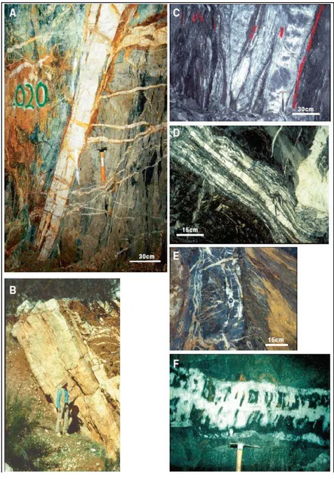 Gambar 6. A. Mother Lode fault-fill laminated vein, California. B. Mother Lode fault fill laminated vein yang berasosiasi dengan urat  ekstensional pada hanging wall, California