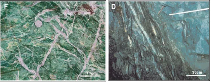 Gambar 3. Batuan karbonat hijau kaya fuchsite, Larder Lake F  dan zona kekar gerus pada intrusi gabbro D  (Goldfarb dkk., 2005)