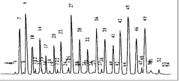 Gambar 9. Kromatogram asam-asam amino kaldu nabati kacang hijau (Phaseolus radiatus L) (crude/kaldu kasar) menggunakan inokulum Aspergillus sp-K3.
