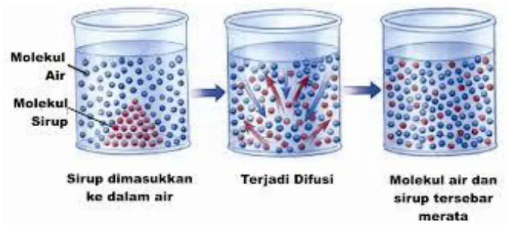 Gambar 2. Proses Terjadinya Difusi  Sumber: https://www.google.com_difusi  