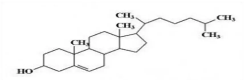 Ilustrasi 2. Struktur Kimia Kolesterol (Berg dkk., 2002) 