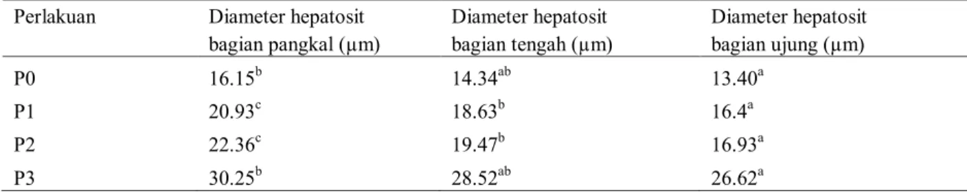 Tabel 2. Hasil analisis diameter hepatosit puyuh umur 60 hari pada bagian pangkal, ujung dan tengah hepar setelah perlakuan  dengan pemberian serbuk kunyit dalam pakan 