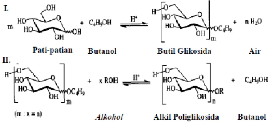 Gambar 1. Proses sintesis APG dua tahap (Hill, 2000) : (I) Reaksi butanolisis (II) Reaksi transasetalisasi 