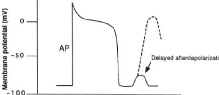 Gambar 1.4 Early afterdepolarization dan Delayed afterdepolarization.