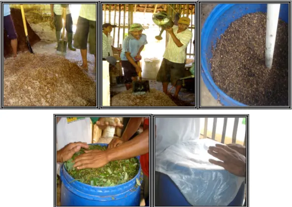 Gambar 3. Praktek fermentasi kulit kopi untuk komponen pakan domba dan pembuatan silase  menggunakan bahan baku hijauan limbah pertanian 