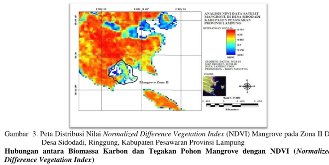 Gambar  3. Peta Distribusi Nilai Normalized Difference Vegetation Index (NDVI) Mangrove pada Zona II Di  Desa Sidodadi, Ringgung, Kabupaten Pesawaran Provinsi Lampung 