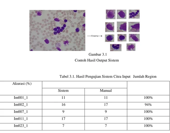 Tabel 3.1. Hasil Pengujian Sistem Citra Input  Jumlah Region  Akurasi (%) 