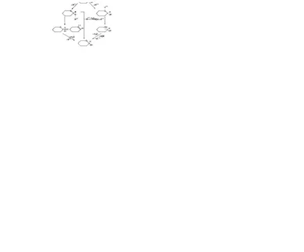 Gambar 6. Mekanisme reaksi hidrolisis dengan katalisator asam (Philipp, 1984)