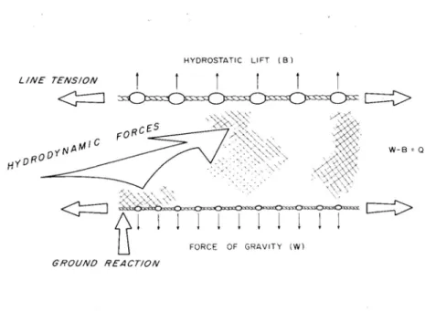 Gambar 3.2.  Diagram gaya luar yang bekerja pada alat penangkap ikan (Fridman, 1986). 