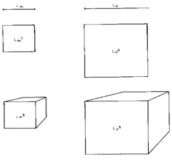 Gambar 3.7.  Kesamaan dimensi linear, luas dan volume 