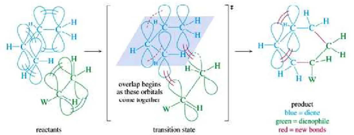 Gambar 3. Perubahan hibridisasi pada reaksi Diels – Alder