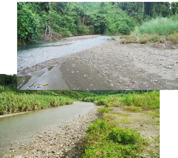 Gambar 2.1 Kondisi Sungai Pangiang dengan Potensi Batuan Tambang (SIRTU) di Desa Gunung Sari, Kec