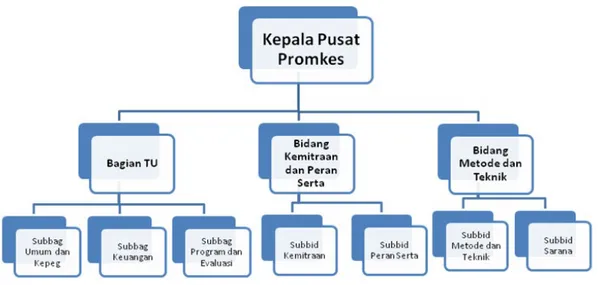 Gambar 2.3. Struktur Organisasi Pusat Promosi Kesehatan Kementerian                        Kesehatan Republik Indonesia.