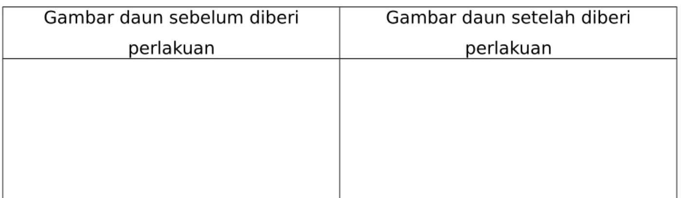 Gambar daun sebelum diberi perlakuan