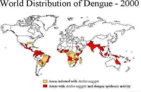 Gambar 2. Distribusi Virus Dengue, Infeksi dan Daerah Epidemis 