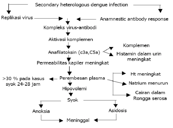 Gambar 3. Patogenesis Syok pada DBD 
