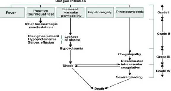 Gambar 7. Derajat Penyakit Infeksi Virus Dengue 