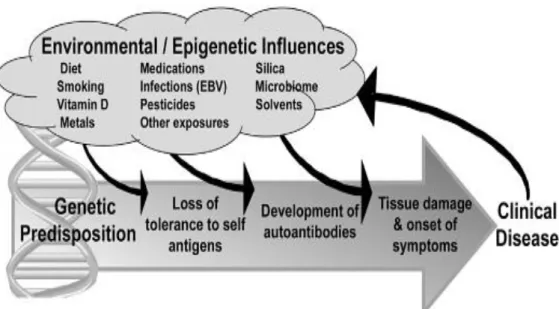 Gambar 2.1 Keterkaitan antara factor genetik, epigenetic dan lingkungan  pada LES. 