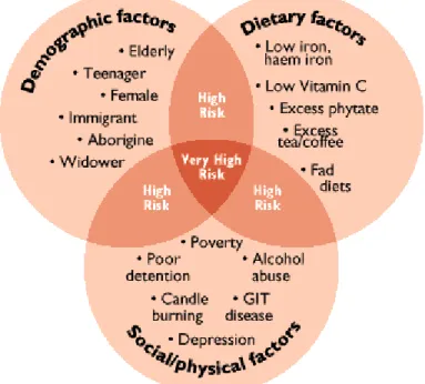 Gambar 1. Faktor-faktor yang menyebabkan tingginya risiko  anemia defisiensi zat besi