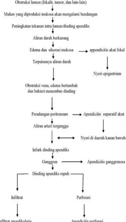 Gambar 5. Patofisiologi Apendisitis