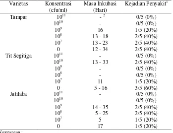 Tabel 2   Masa inkubasi dan kejadian penyakit pada tiga varietas cabai yang diberi enam perlakuan konsentrasi bakteri yang berbeda 