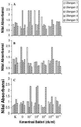 Gambar  4     Nilai absorbansi hasil uji I-ELISA pada tanaman cabai berumur 14 hari setelah inokulasi (HSI) dengan perlakuan konsentrasi bakteri     pada varietas Tampar (A), Tit Segitiga (B), dan Jatilaba (C)