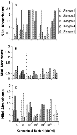 Gambar 5    Nilai absorbansi hasil uji I-ELISA pada tanaman cabai berumur 28 hari setelah inokulasi (HSI) dengan perlakuan konsentrasi bakteri pada varietas Tampar (A), Tit Segitiga (B), dan Jatilaba (C)