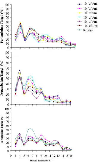 Gambar 6  Persentase pertambahan tinggi tanaman cabai yang diamati mulai           3 minggu pertama setelah tanam (3 MST) sampai dengan panen          (16 MST) pada tiga varietas cabai yaitu Tampar (A), Tit Segitiga (B) dan Jatilaba (C)