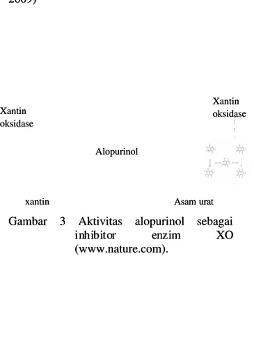 Gambar  3  Aktivitas  alopuriGambar  3  Aktivitas  alopuri