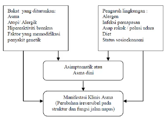 Gambar 2. Interaksi faktor genetik dan lingkungan pada pasien asma  21